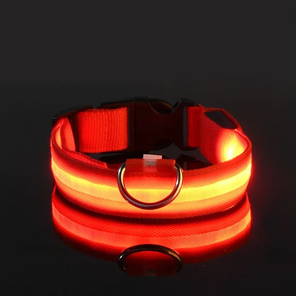 LED Dog Collar – Nylon Luminous Night Safety Flashing Glow-in-the-Dark Collar for Dogs