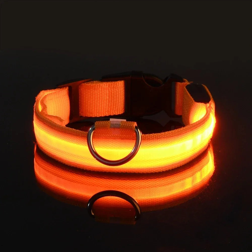 LED Dog Collar – Nylon Luminous Night Safety Flashing Glow-in-the-Dark Collar for Dogs