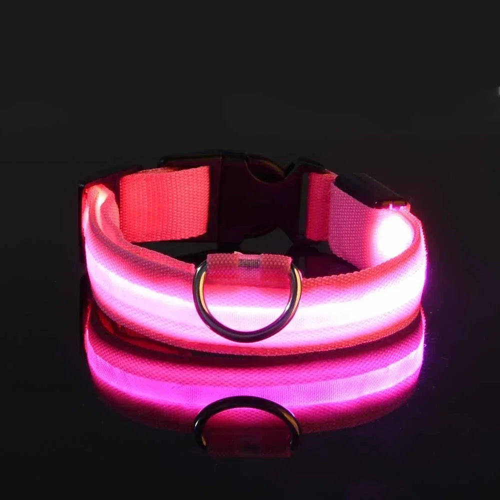 LED Dog Collar – Nylon Luminous Night Safety Flashing Glow-in-the-Dark Collar for Dogs