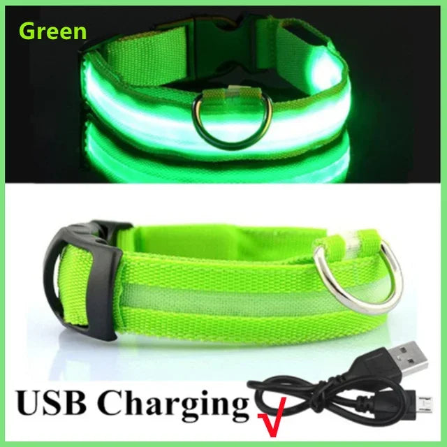 LED Glowing Dog Collar – Rechargeable Luminous Night Safety Collar for Small & Large Dogs
