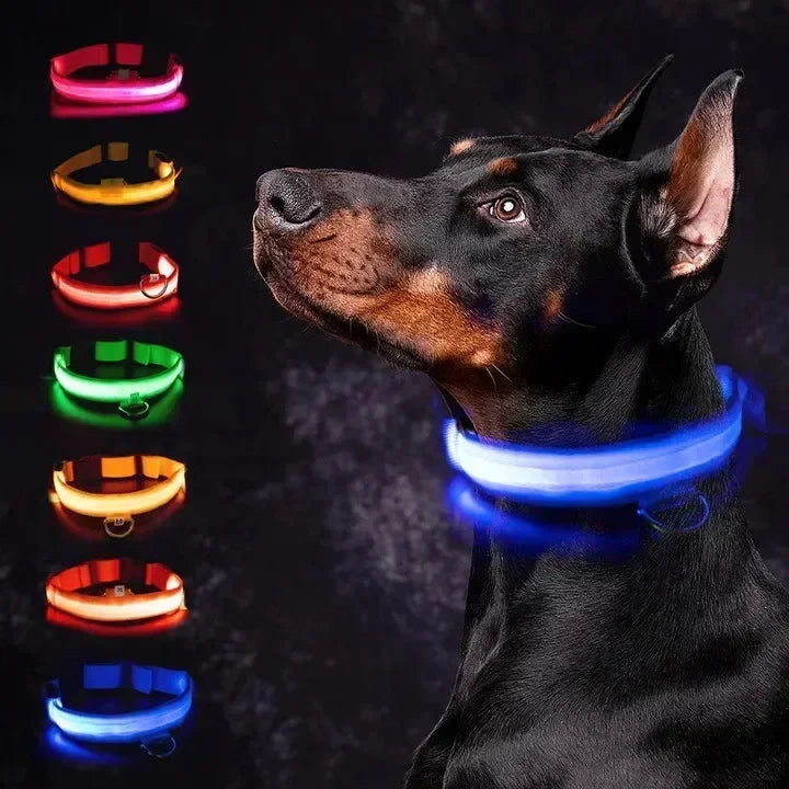 LED Glowing Dog Collar – Rechargeable Luminous Night Safety Collar for Small & Large Dogs