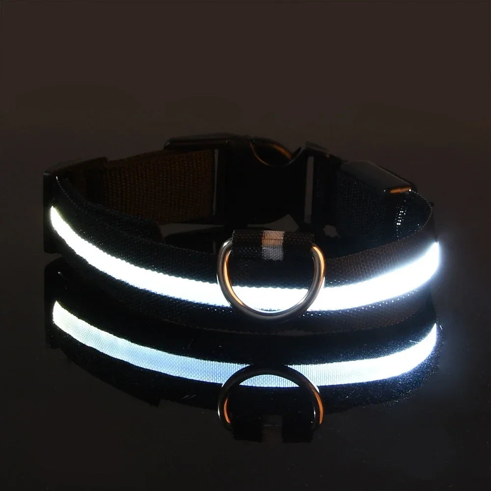 LED Dog Collar – Nylon Luminous Night Safety Flashing Glow-in-the-Dark Collar for Dogs