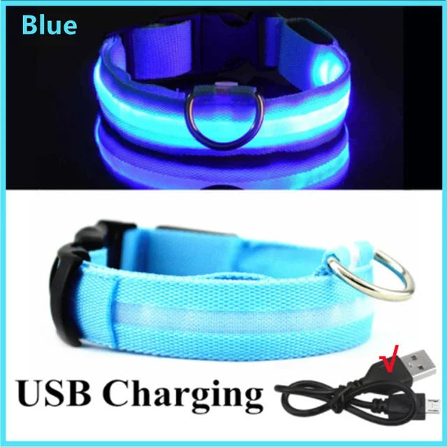 LED Glowing Dog Collar – Rechargeable Luminous Night Safety Collar for Small & Large Dogs