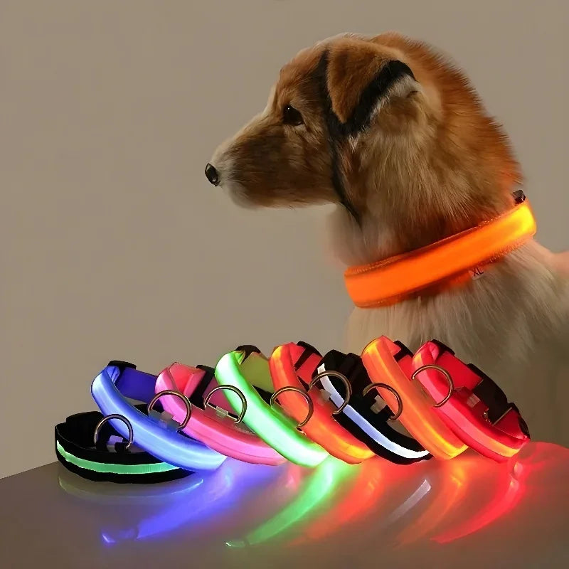 LED Dog Collar – Nylon Luminous Night Safety Flashing Glow-in-the-Dark Collar for Dogs