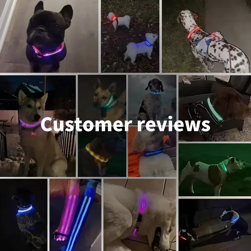 LED Glowing Dog Collar – Rechargeable Luminous Night Safety Collar for Small & Large Dogs