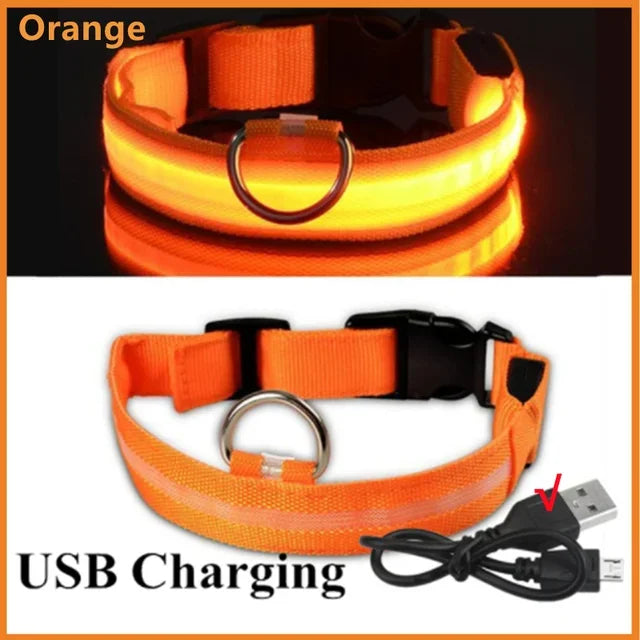 LED Glowing Dog Collar – Rechargeable Luminous Night Safety Collar for Small & Large Dogs