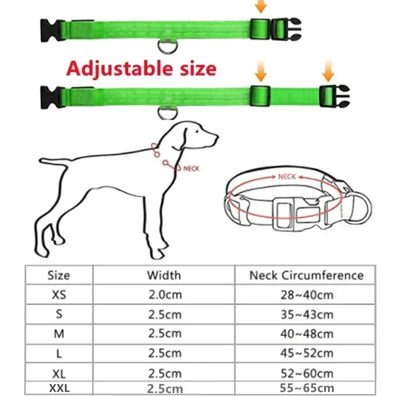 LED Glowing Dog Collar – Rechargeable Luminous Night Safety Collar for Small & Large Dogs