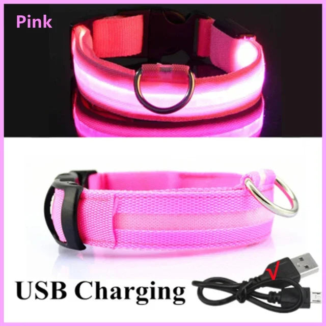 LED Glowing Dog Collar – Rechargeable Luminous Night Safety Collar for Small & Large Dogs