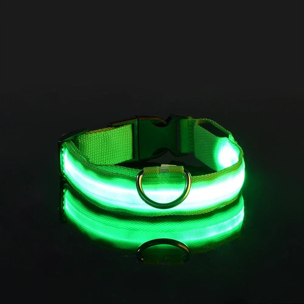 LED Dog Collar – Nylon Luminous Night Safety Flashing Glow-in-the-Dark Collar for Dogs