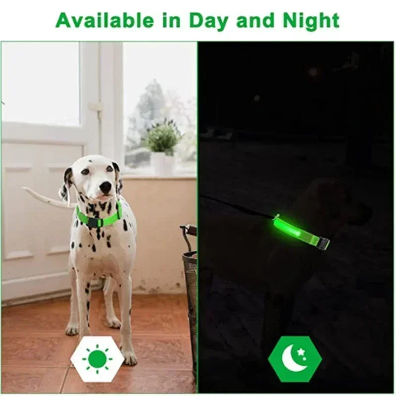 LED Glowing Dog Collar – Rechargeable Luminous Night Safety Collar for Small & Large Dogs